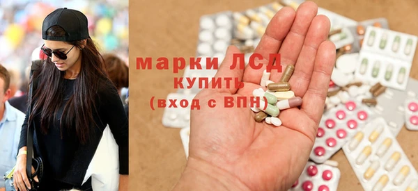 прущие грибы Беломорск