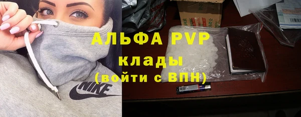 прущие грибы Беломорск