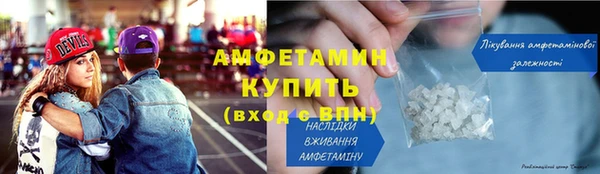 прущие грибы Беломорск
