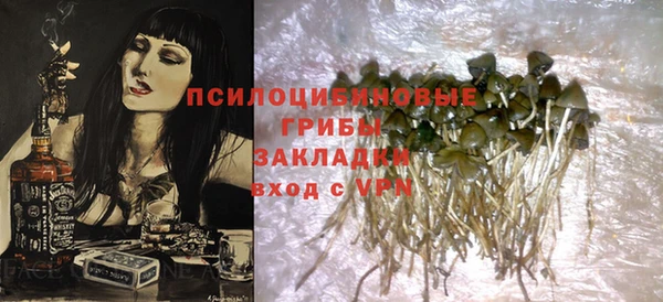 тгк Белокуриха