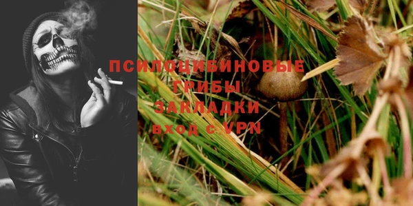 дживик Белоозёрский