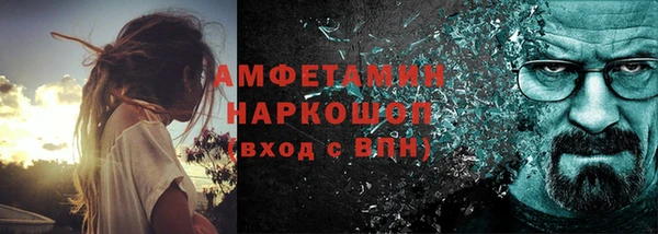 прущие грибы Беломорск