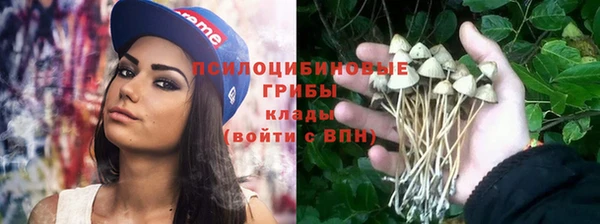 тгк Белокуриха